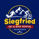 Firmenlogo